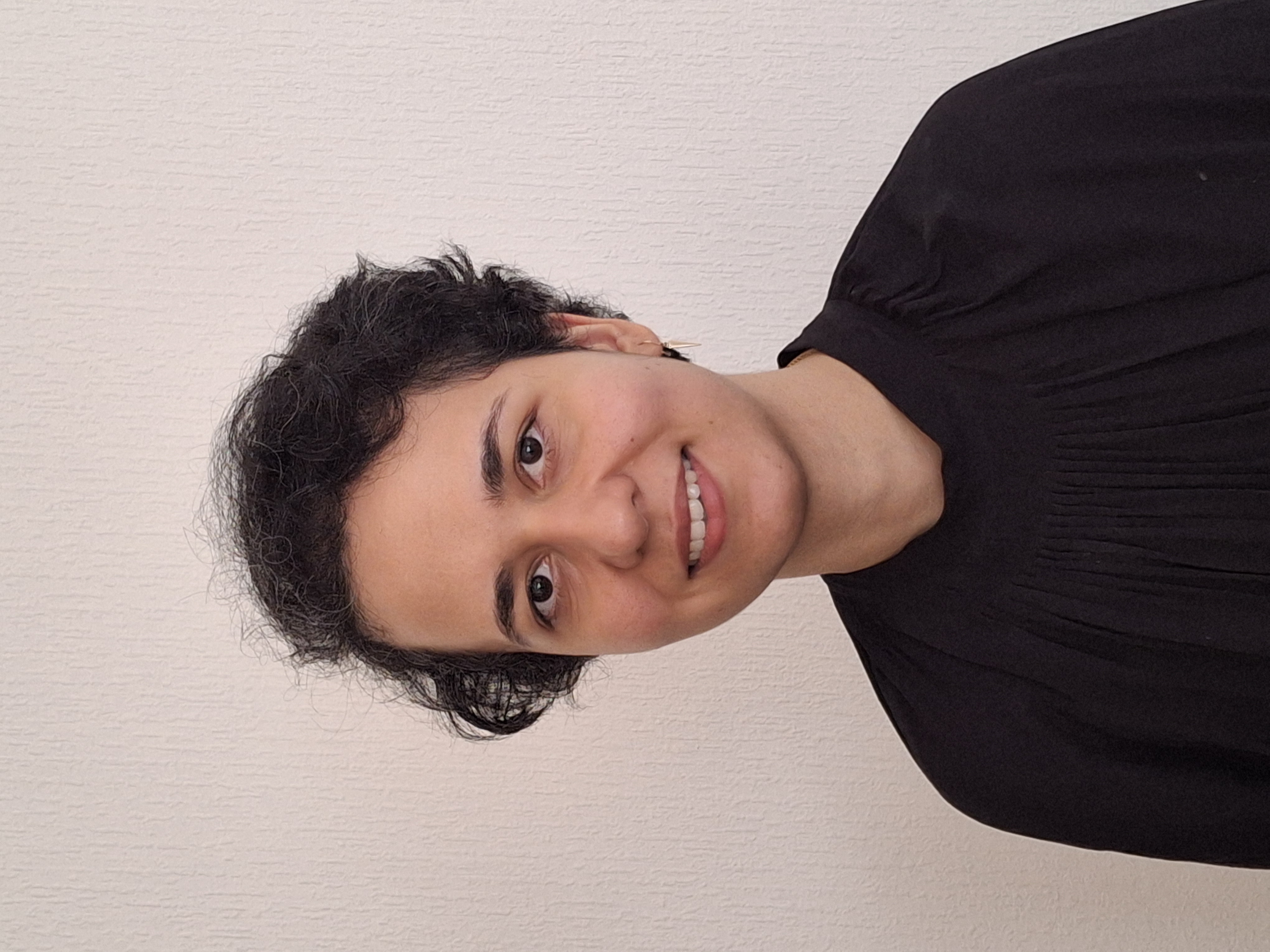  Seyedeh Mirzargar