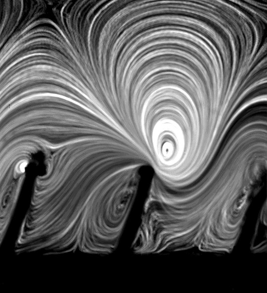 Ultrasound and cilia to clean implanted stents and catheters