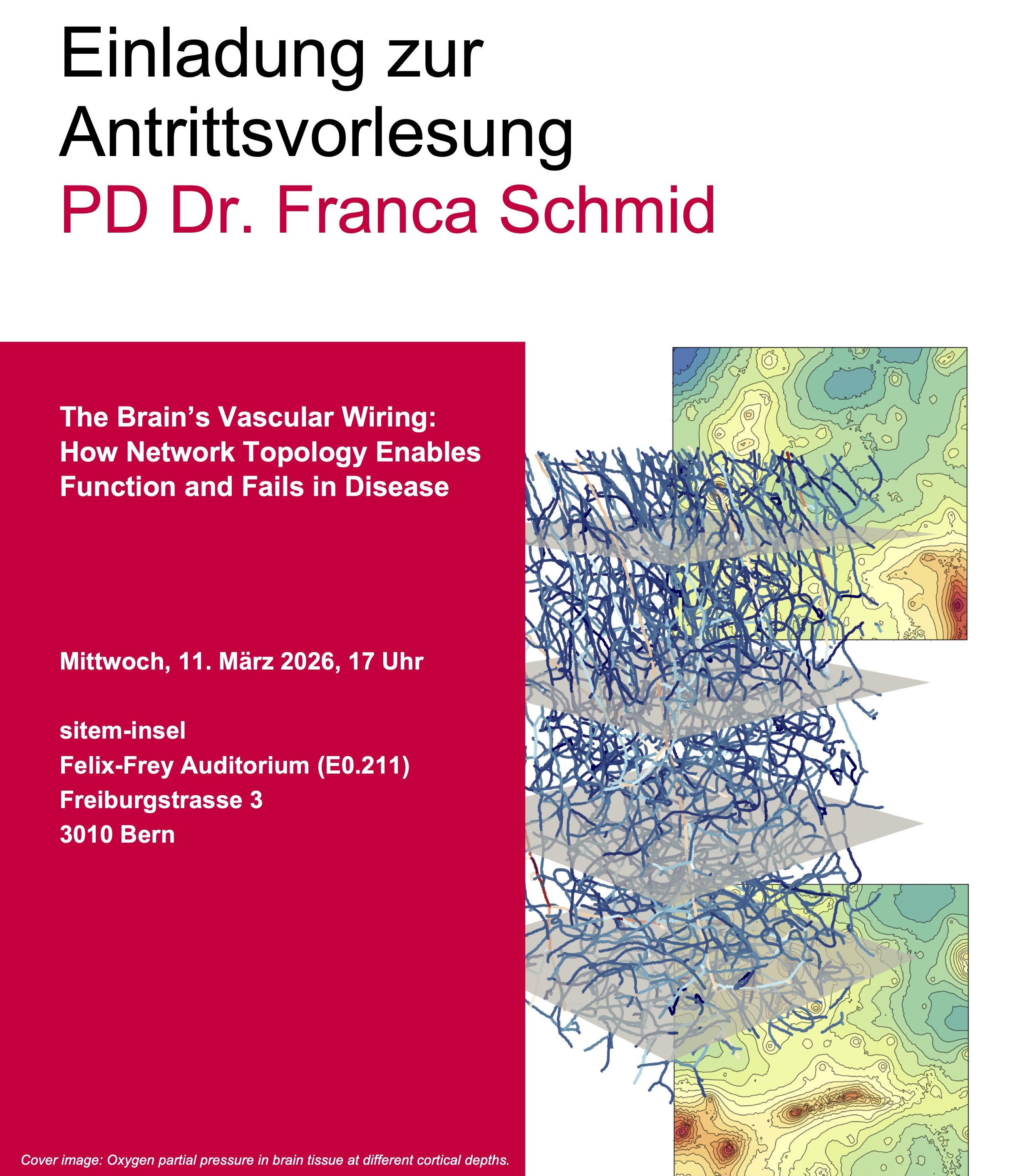 Inaugural Lecture PD Dr. Franca Schmid: The Brain's Vascular Wiring